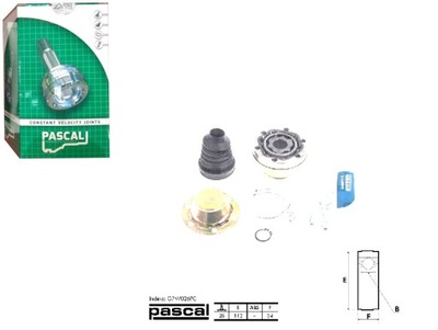 PASCAL JUEGO MUÑÓN DE ACCIONAMIENTO VW TOUAREG 3.2 V6 (  