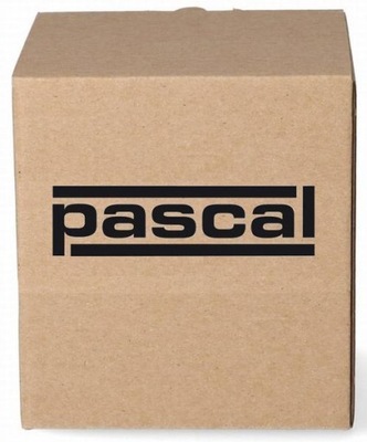 PASCAL AXLE SWIVEL DRIVING G1K017PC  