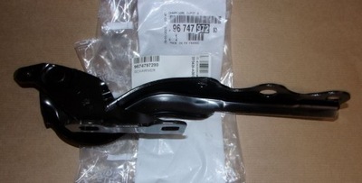 Citroen c-elysee 2019 lift петлі капот комплект лівий i правий оригінал фото №1