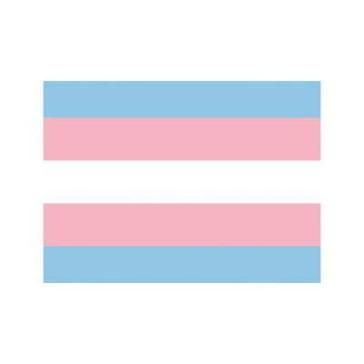 FLAGA LGBTQ+ Trans 70 x 112 cm
