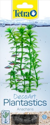 Tetra roślina akwariowa 16 cm Anacharis