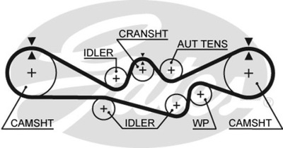 РЕМЕНЬ ГРМ GATES 5537XS