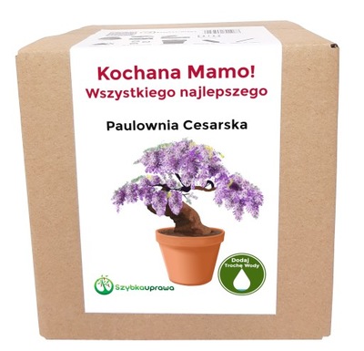 PREZENT NA DZIEŃ MATKI ZESTAW DO UPRAWY PAULOWNIA