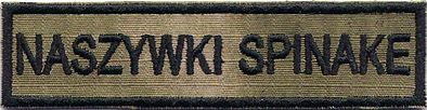 NAME PATCH NAZWISKO Imiennik A-TACS Naszywka 445R