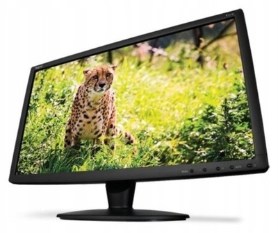 Monitor NEC V221W 21,6” FullHD 1920 x 1080 TN VGA kl. A