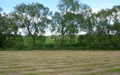 Działka, Olecko, Olecko, Olecki, 4476 m²