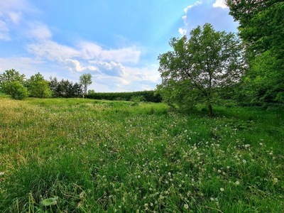 Działka, Zajezierze, Sztum (gm.), 1098 m²