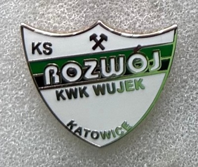 Rozwój Katowice odznaka