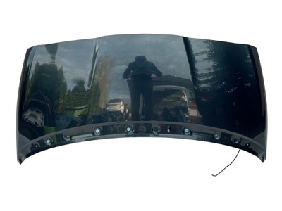 Капот кришка двигуна peugeot 5008 i t87 фото №1