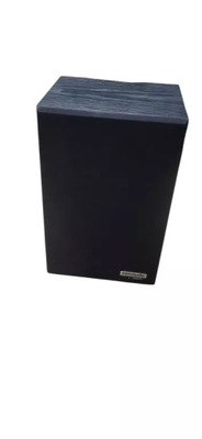 BOSE INTERAUDIO XL1000