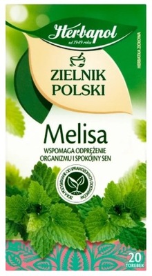 Herbata Herbapol Melisa Zielnik Polski 20 torebek