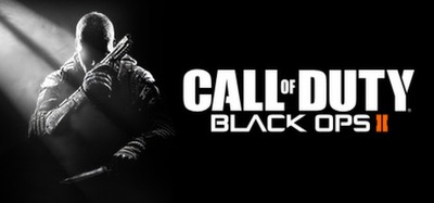 Call of Duty Black Ops II 2 PC steam