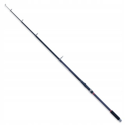 Wędka Robinson Carbonic T-Carp 2,70m 40-90g