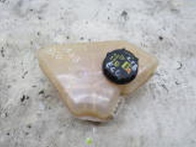 Бачок расширительный ford ecosport 1.0 фото №1