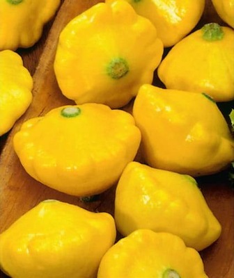 Patison PATISSON ORANGE nasiona 1 g PNOS ŻÓŁTY