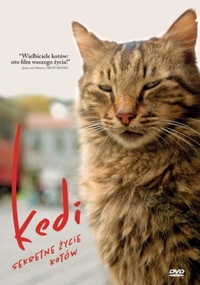 KEDI Sekretne życie kotów [ DVD ]