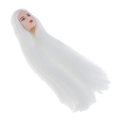 1/6 BJD Makeup Face Head Sculpt White Hair Doll