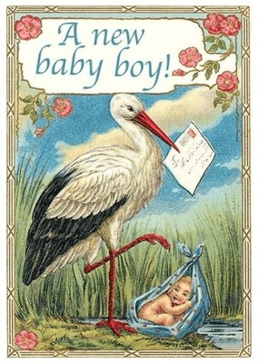 Karnet B6 z kopertą Narodziny Bocian Chłopiec