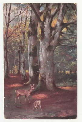 OLSZANICA, ZŁOCZÓW - stempel. (Obw. LWÓW) - pocztówka z 1912