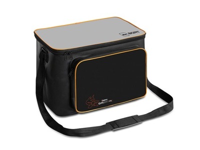 DELPHIN TORBA EVASPIN WALK L NIEPRZEMAKALNA