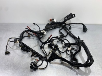 2019 alfa romeo stelvio жгут двигателя 0055283317 фото №1