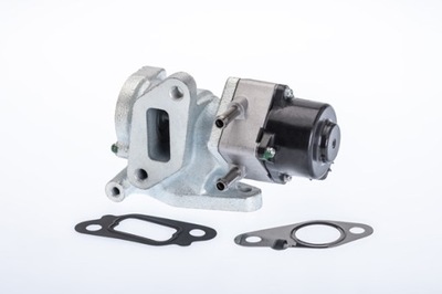 КЛАПАН ЕГР BORGWARNER (WAHLER) 710972R