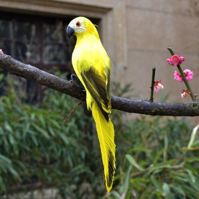Papuga żółta 20/25cm imitacja papugi papuga miniat