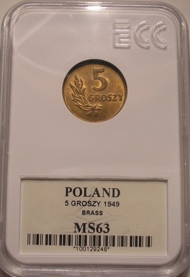 PRL - 5 groszy 1949 MS 63 GCN - MOSIĄDZ