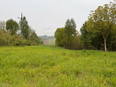 Działka, Krzęcin, Skawina (gm.), 7900 m²