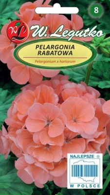 Pelargonia rabatowa ŁOSOSIOWA