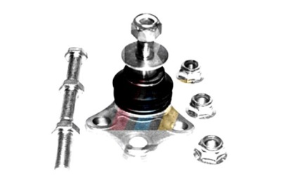 PIVOT BRAS DE SUSPENSION RENAULT RTS 