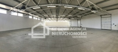 Magazyny i hale, Gdańsk, Letnica, 520 m²