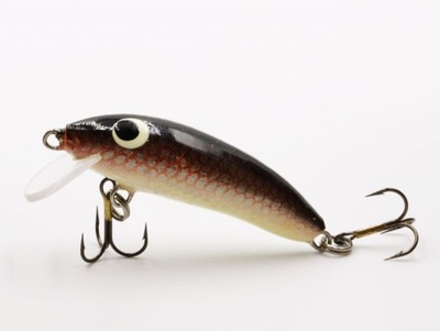 Assan wobler trout 3.5 - kolor 25