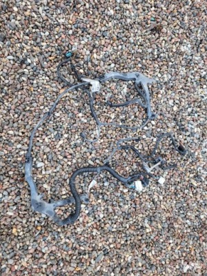 Жгут двигателя задняя tesla x 1032448-90 фото №1