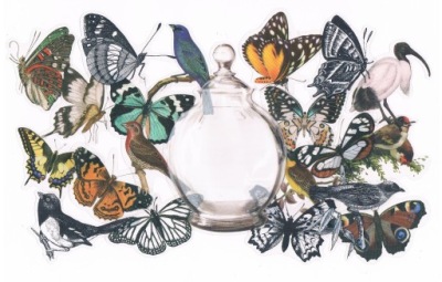 ZESTAW NAKLEJKI SCRAPBOOKING 20SZT MOTYLE PTAKI