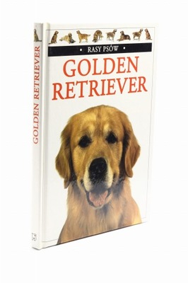 Golden Retriever Fogle