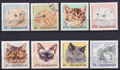 1968 Węgry koty