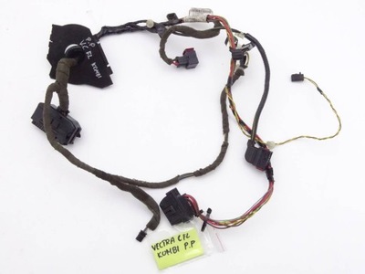 Vectra c 02-08 жгут электропроводка дверь правый перед фото №1