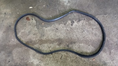 Прокладка двері правий перед volvo c30 08r фото №1