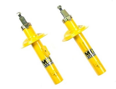 Peugeot 206 амортизатори спортивні перед mts фото №1