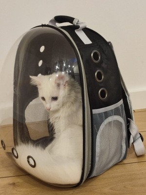 2X TRANSPORTER PLECAK TORBA PRZEZROCZYSTA DLA KOTA PSA ZWIERZĄT WENTYLACJA