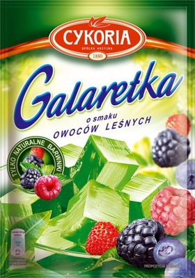Cykoria Galaretka o smaku owoce leśne 75g