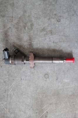 Форсунка renault espace iv 2.2 dci 0445110229 фото №1