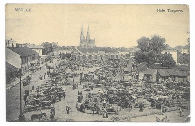 Siedlce Hale targowe [pocztówka przed 1914]