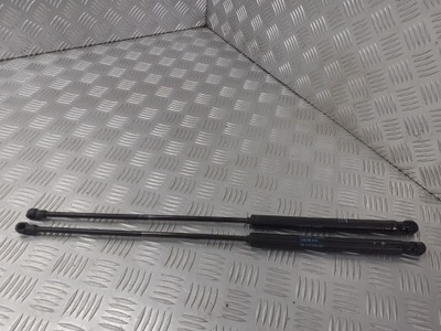 Амортизаторы крышки задний citroen c4 9647295480 фото №1