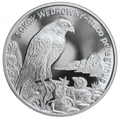 Moneta 20 zł Sokół 2008 MENNICZA