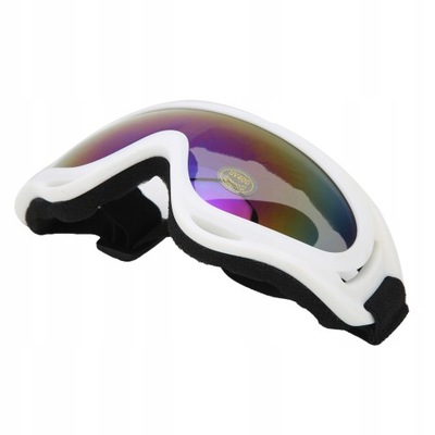 Ski goggles for children AntiFog Glasses for 