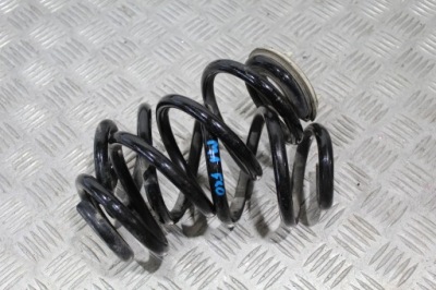 Пружины заднего подвеска задняя bmw 1 m1 f40 фото №1