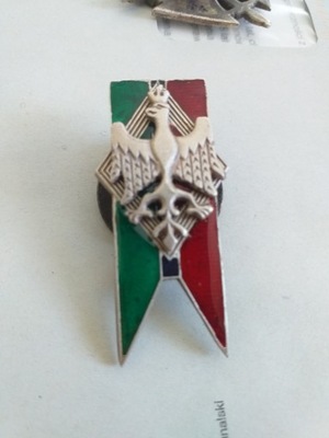 Odznaka ulana