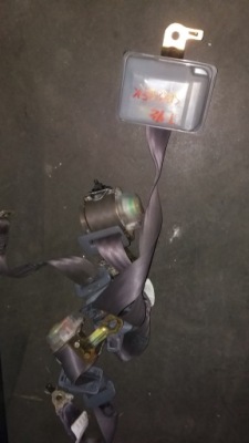 Ремені безпеки задні комплект . lexus ls400 частини фото №1